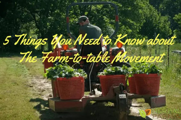 5 Things You Need to Know about the Farm-to-Table Movement  | Herbal Goodness