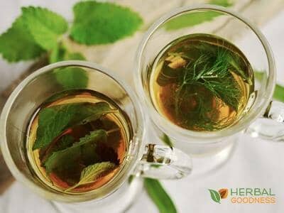7 Natural Remedies to Improve Digestion | Herbal Goodness