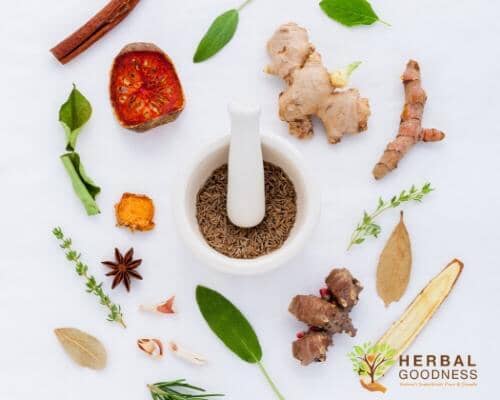 7 Tips to Aid Digestion | Herbal Goodness