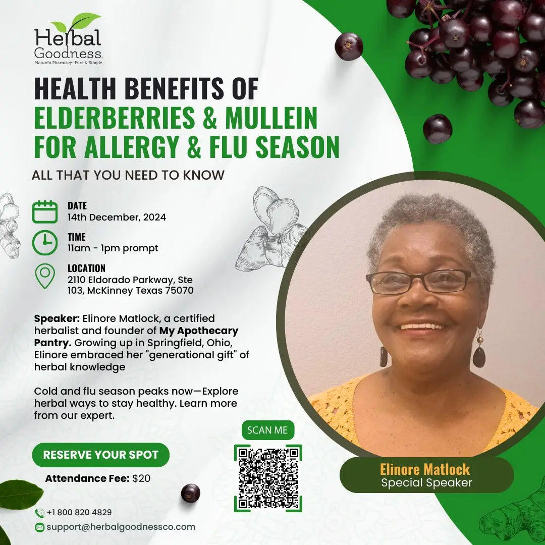 Promotional flyer for a health workshop on herbal goodness of Elderberries and Mullein for flu season on December 14th