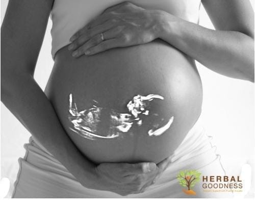 Healthy Babies & Pregnancy Loss Awareness Month | Herbal Goodness