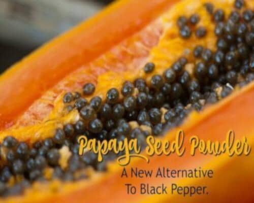 Papaya Seed Powder: A New Alternative to Black Pepper | Herbal Goodness