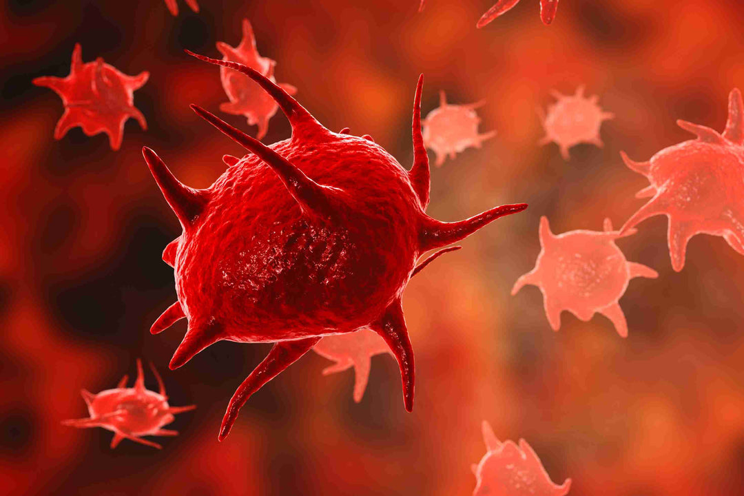 How Superfoods Support Low Blood Platelet Health Naturally