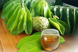 Glass of golden soursop tea next to tropical fruits and green leaves promoting health.