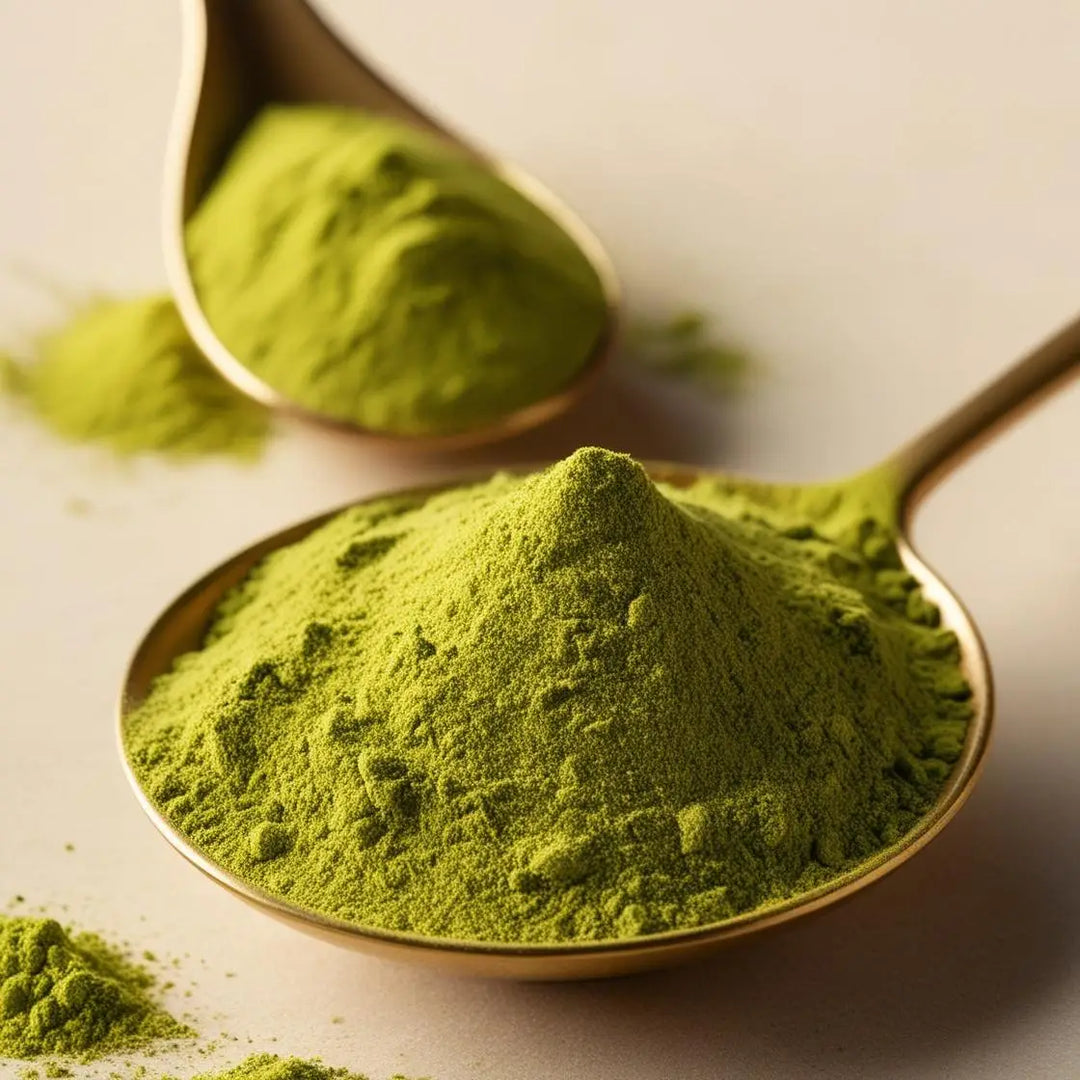 The Magic of Moringa Leaves: Benefits and Uses | Herbal Goodness