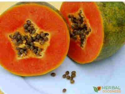 What's the Scoop on Papaya Seed | Herbal Goodness
