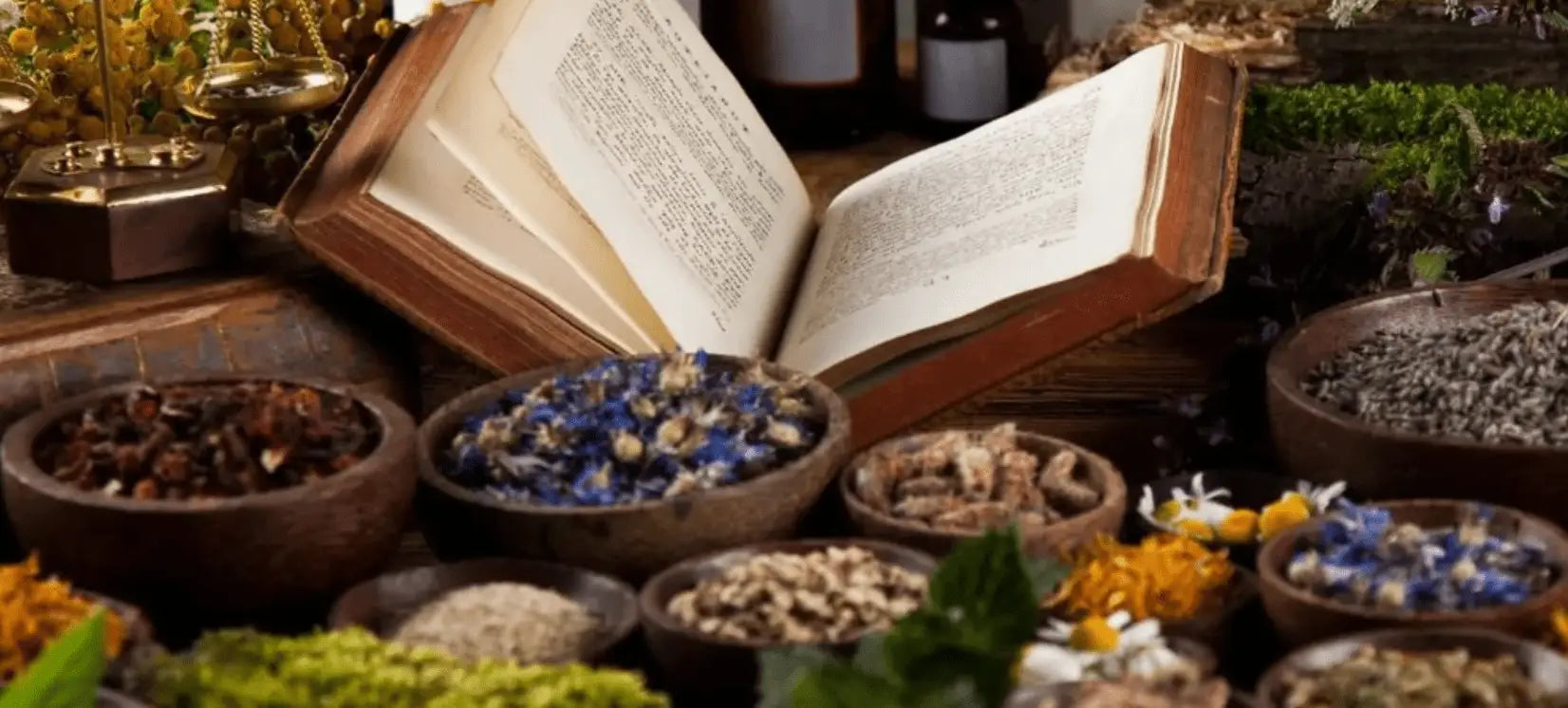 Herbal Education & Books