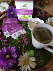 Gymnema Leaf tea