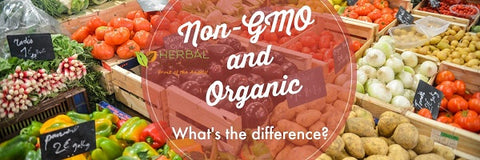 What’s the Difference between Non-GMO and Organic?