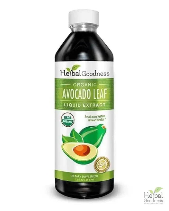 Avocado Leaf Extract - Liquid - Blood Sugar Support - Herbal Goodness Liquid Extract Herbal Goodness 12 oz 