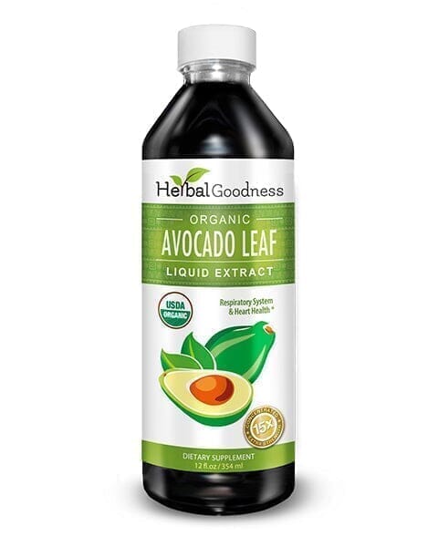 Avocado Leaf Extract - Organic - Liquid - Blood Sugar Support - Herbal Goodness Liquid Extract Herbal Goodness 12 oz 