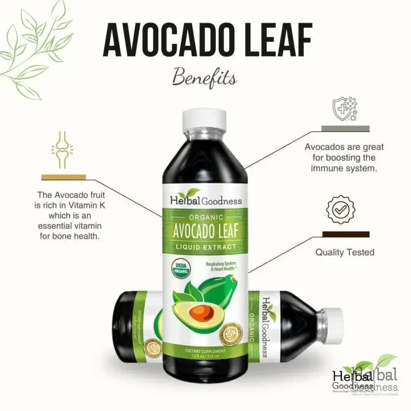 Avocado Leaf Extract - Liquid - Blood Sugar Support - Herbal Goodness Liquid Extract Herbal Goodness 