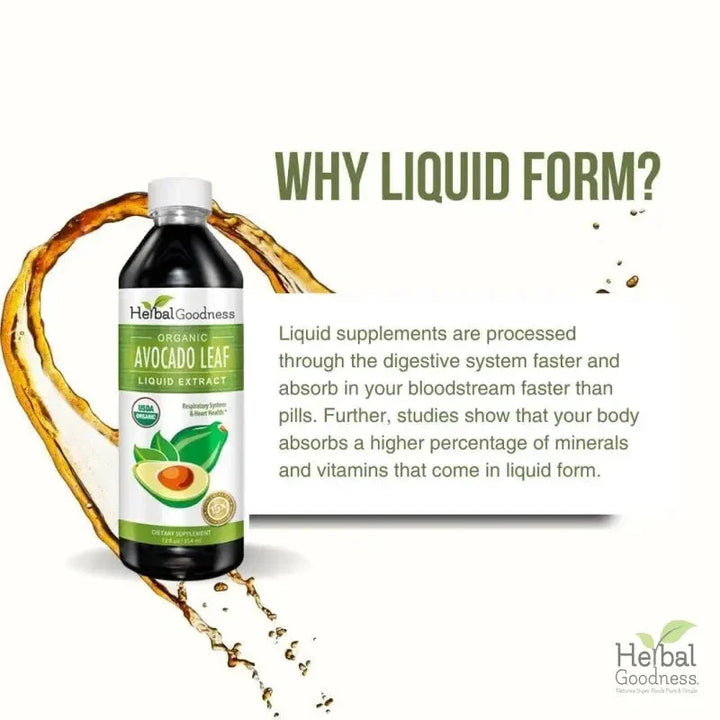 Avocado Leaf Extract - Liquid - Blood Sugar Support - Herbal Goodness Liquid Extract Herbal Goodness 