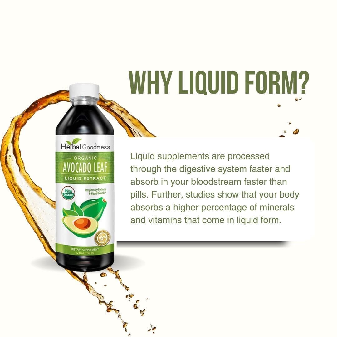 Avocado Leaf Extract - Organic - Liquid - Bone health & Immune support - Herbal Goodness Liquid Extract Herbal Goodness 