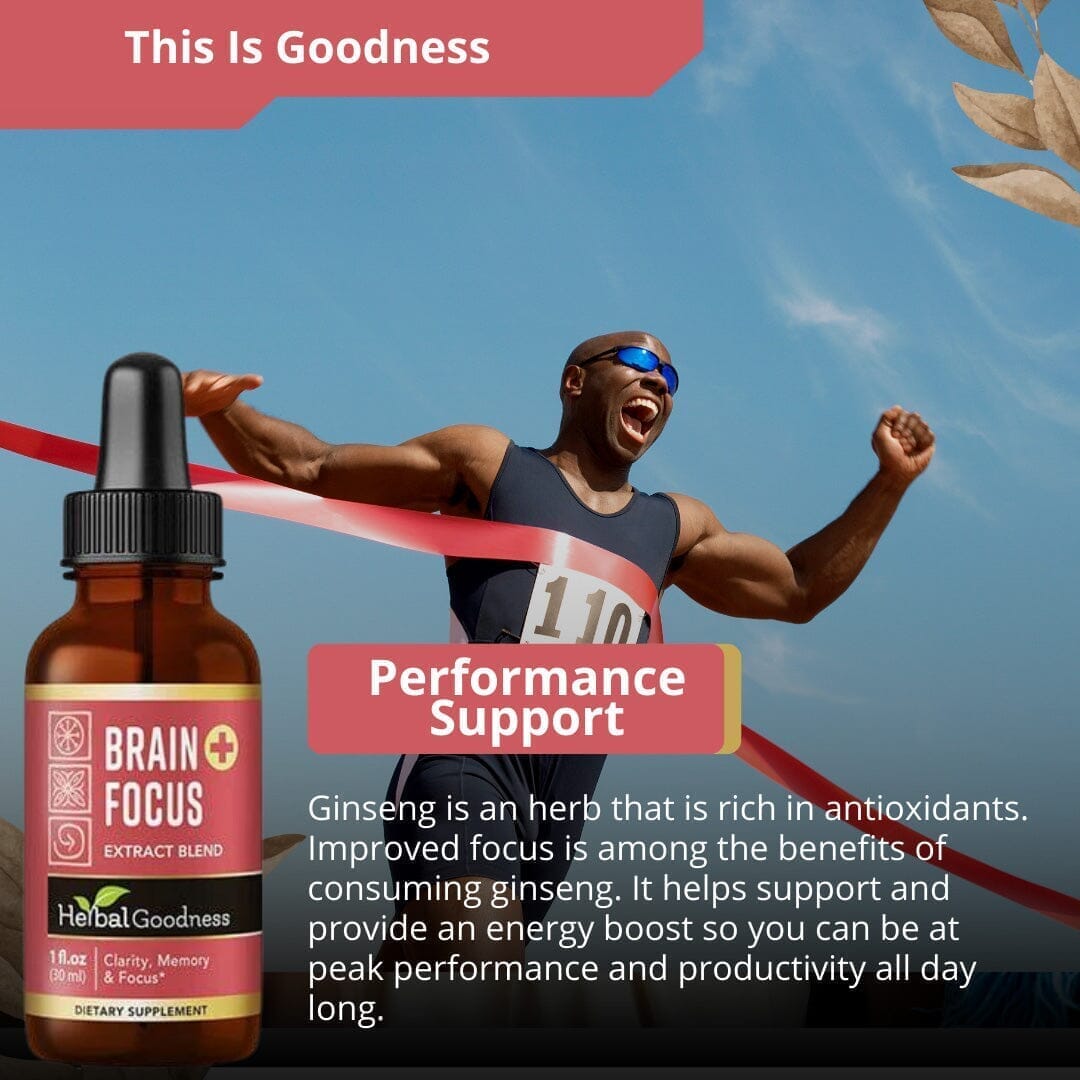 Brain and Focus Liquid Extract - Nootropic Brain Supplement, Brain Health - Herbal Goodness Liquid Extract Herbal Goodness 