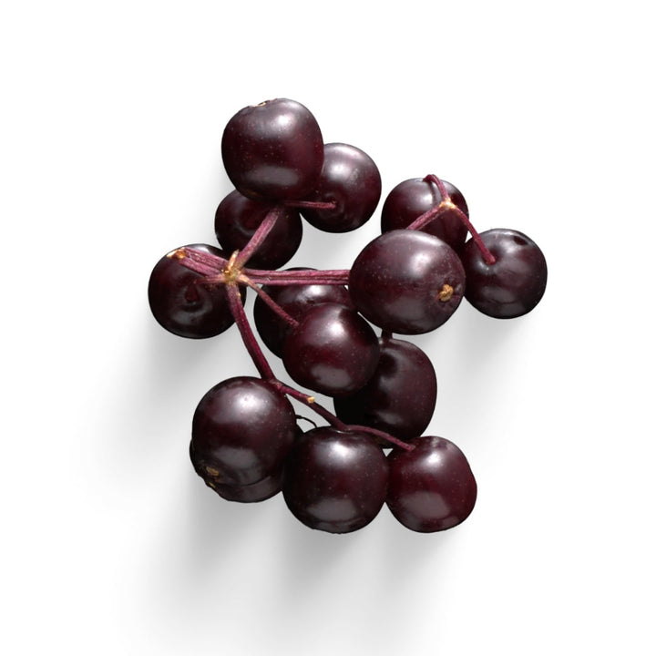 Dark purple grapes on stem in Bulk Berries 8oz pack with acai and hawthorn berries