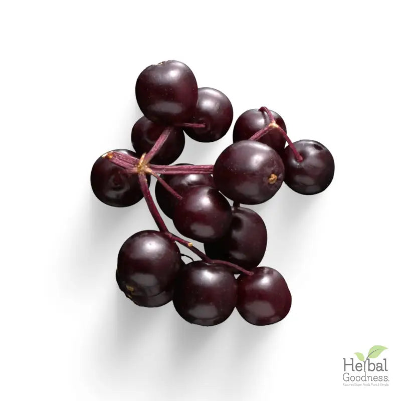 Dark purple grapes on stem in Bulk Berries 8oz pack with acai and hawthorn berries