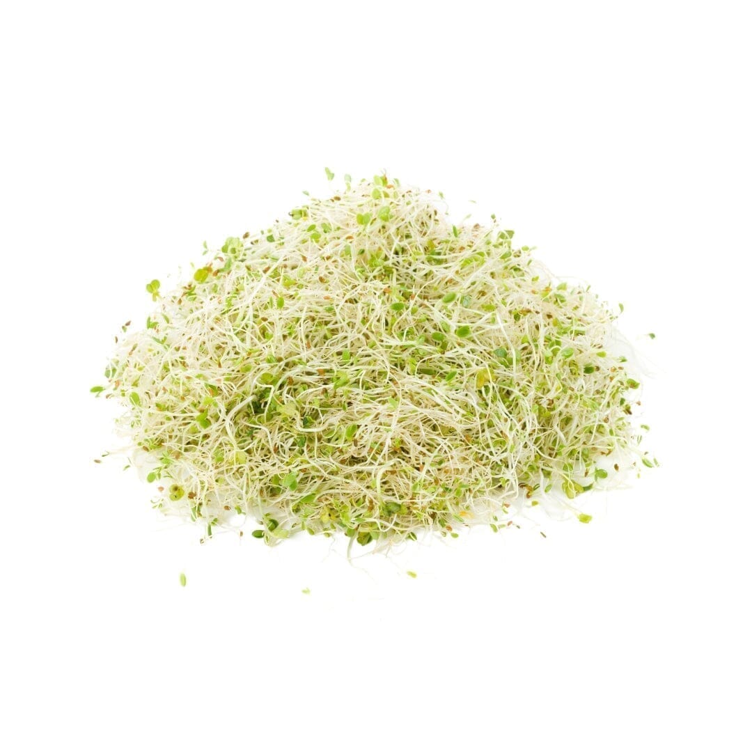 Bulk Herbs & Roots - 4 oz - Premium Quality Nutrient Dense Dried Herbs Bulk Herb Herbal Goodness Alfalfa Leaf 