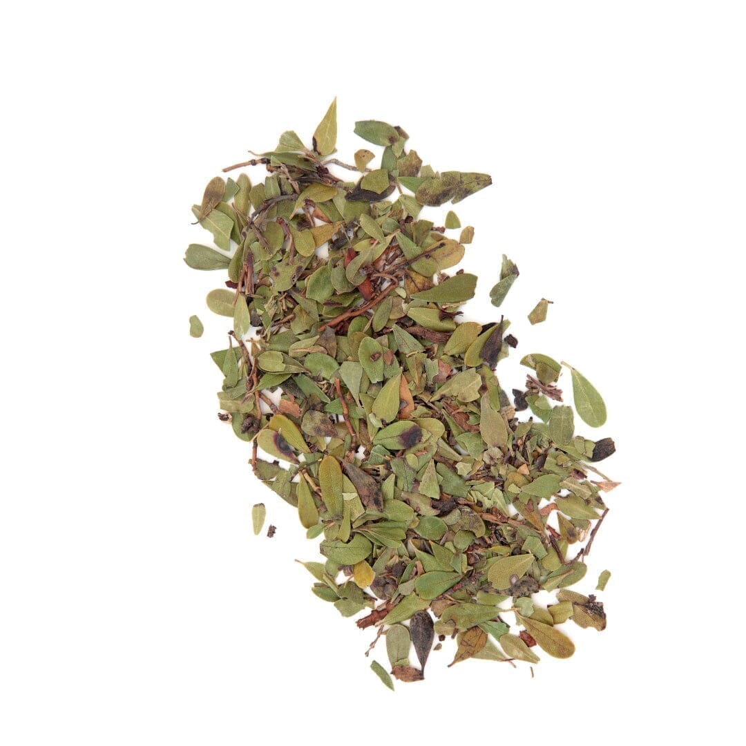 Bulk Herbs & Roots - 4oz Bulk Herb Herbal Goodness Olive Leaf 