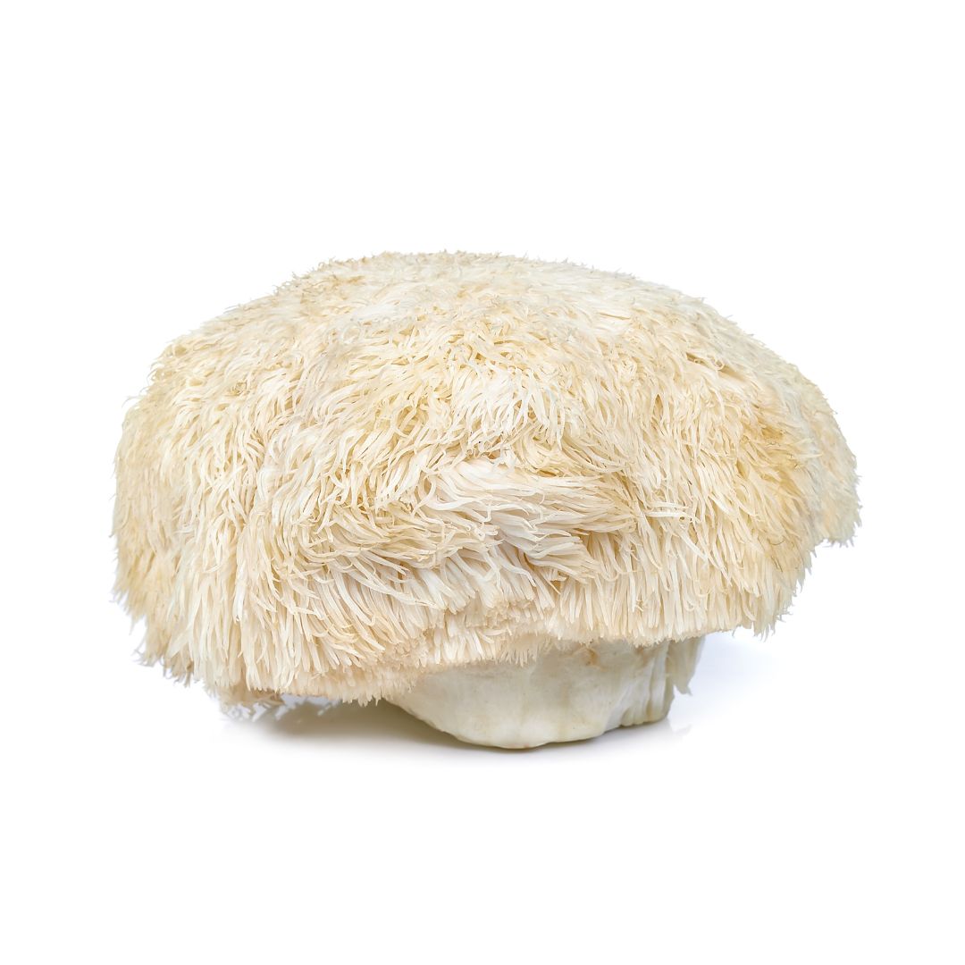 Fluffy cream-colored fur hat for cozy use while enjoying Mushroom Coffee and powders