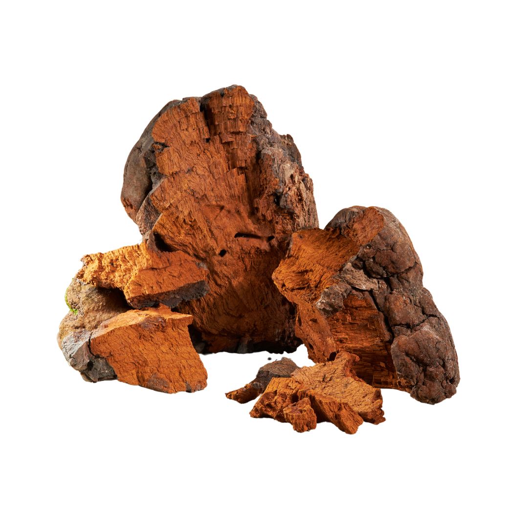 Reddish-brown tree bark chunks for Bulk Mushroom Powders and Mushroom Coffee blends