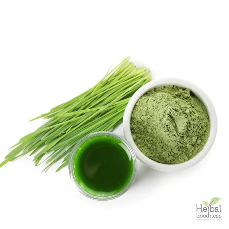 Fresh wheatgrass, juice powder, and barley grass for immune support in SuperGreen Powders Bulk