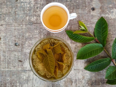 Guava leaf tea is helpful in killing the bacteria in the intestines