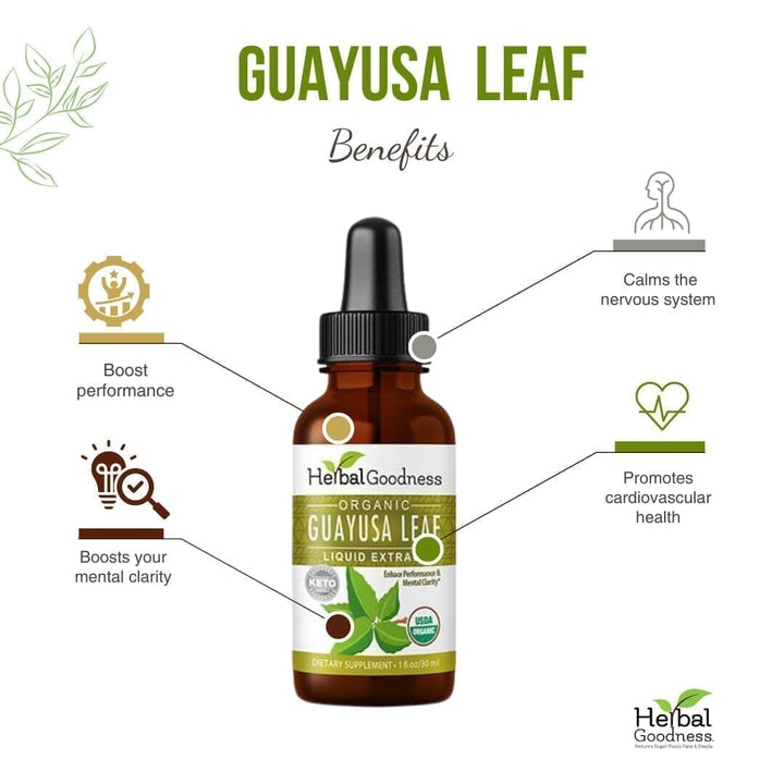 Guayusa Leaf Extract - Organic - Liquid - Energy, Focus & Alertness - Herbal Goodness Liquid Extract Herbal Goodness 