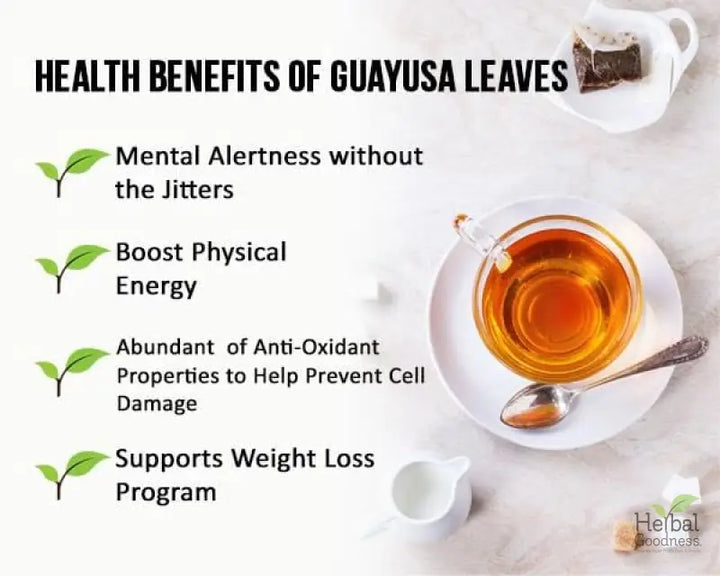 Guayusa Leaf Extract - Organic - Tea 24/2g - Energy, Focus & Alertness - Herbal Goodness - Herbal Goodness