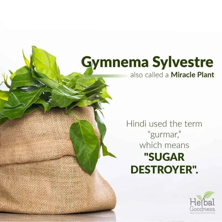 Gymnema (Sylvestre) Leaf Extract - Organic - Tea 24/2g - Gut Support & Sugar Regulator - Herbal Goodness Tea & Infusions Herbal Goodness 