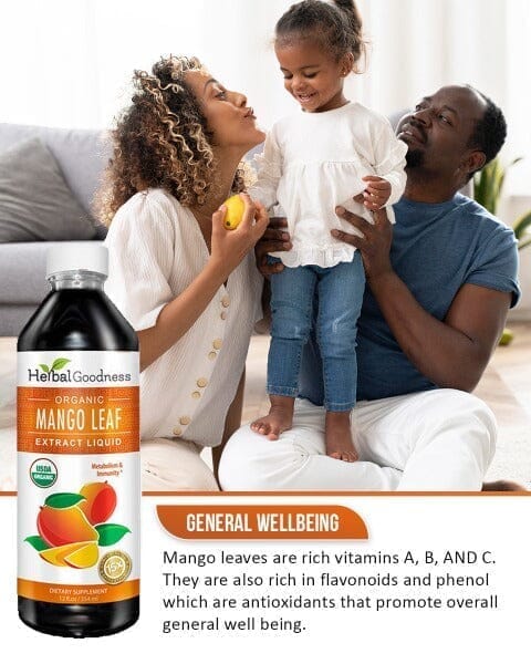 Mango Leaf Extract - Organic - Liquid - Metabolism, Gut & Immunity - Herbal Goodness Liquid Extract Herbal Goodness 