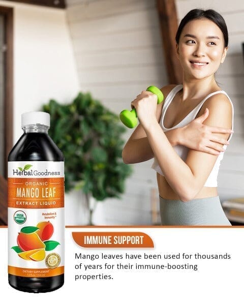 Mango Leaf Extract - Organic - Liquid - Metabolism, Gut & Immunity - Herbal Goodness Liquid Extract Herbal Goodness 