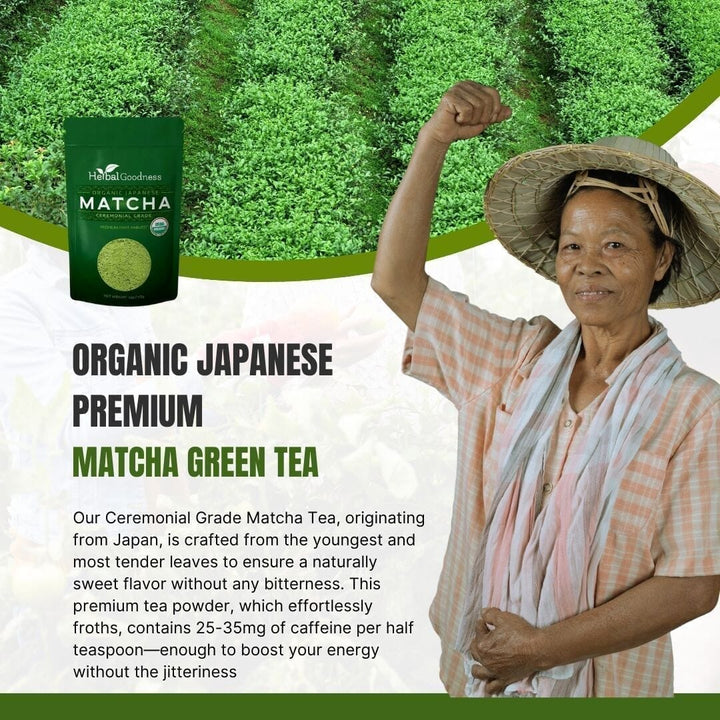 Matcha Green Tea Powder - Organic, Japanese Ceremonial 8oz - Energy & Vitality - Herbal Goodness Powder Herbal Goodness 