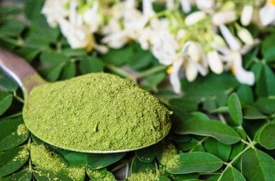 Moringa Leave Powder