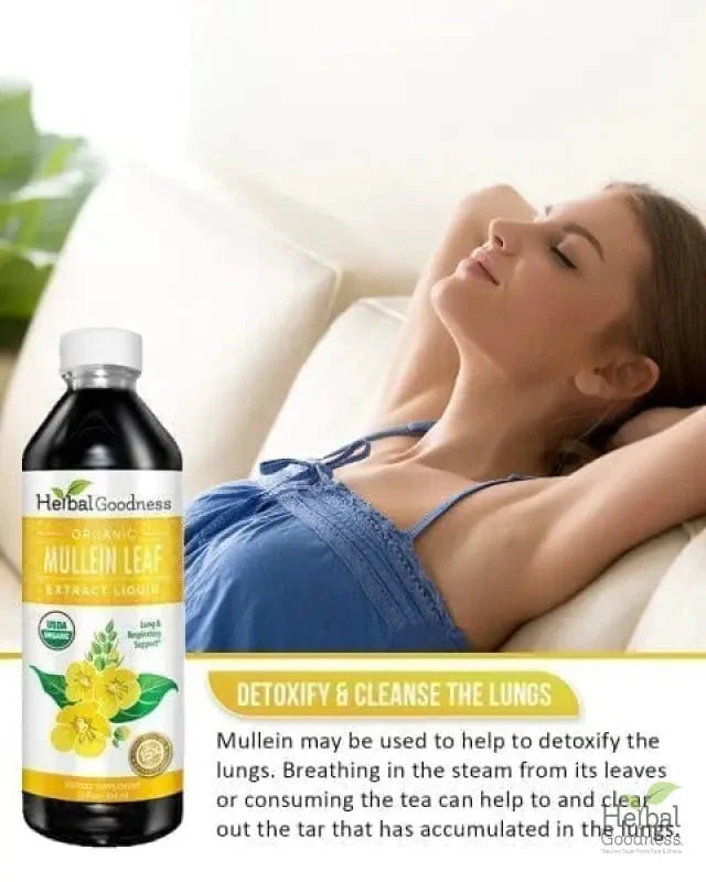 Mullein Leaf Extract Liquid - Organic 15X Strength - Lung & Respiratory Support - Herbal Goodness Liquid Extract Herbal Goodness 