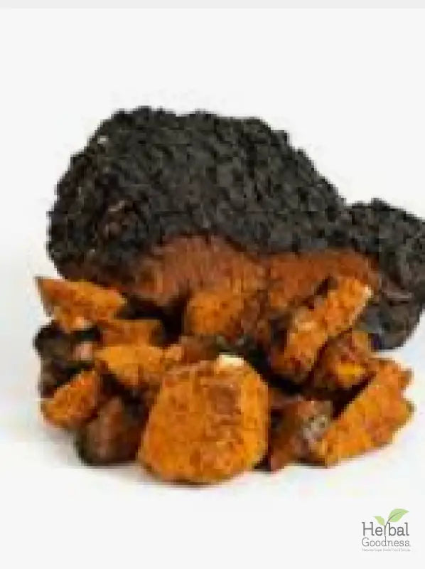 Charred mushroom powders showcasing lion’s mane for enhanced brain power in 8 oz pouch