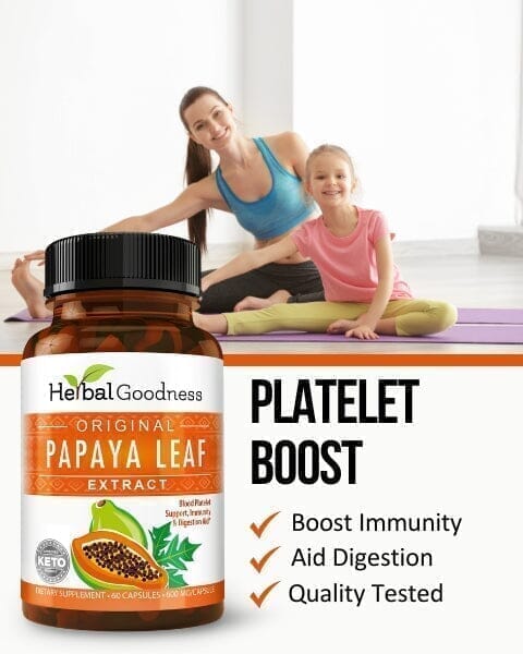 Papaya Leaf Extract - Capsules 600mg - 10X Strength - Boost Platelets, Digestion & Immunity - Herbal Goodness Capsules Herbal Goodness 