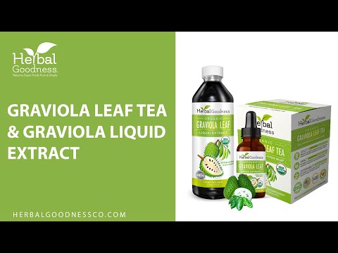 Soursop Leaf Tea - Graviola Extract - Organic Teabags 24/1g - Cell Immunity & Relaxation - Herbal Goodness