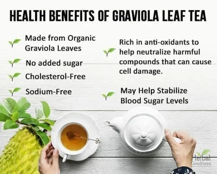 Soursop Graviola Leaf Tea - 100% Organic - Cell rejuvination Herbal Goodness 