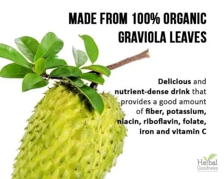 Soursop Graviola Leaf Tea - 100% Organic - Cell rejuvination Herbal Goodness 