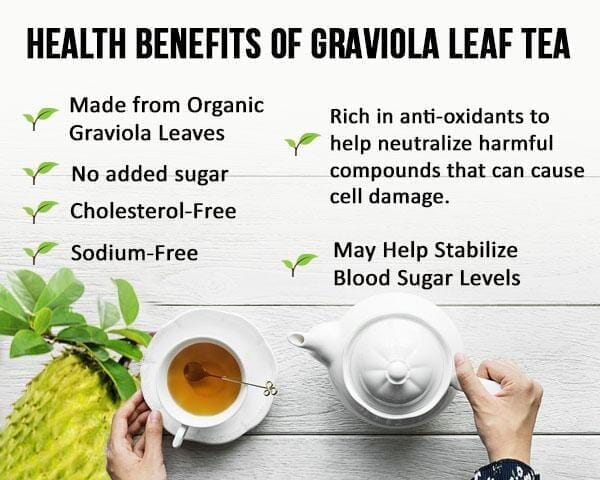 Soursop Leaf Tea - Graviola Extract - Organic Teabags 24/1g - Cell Immunity & Relaxation - Herbal Goodness Tea & Infusions Herbal Goodness 