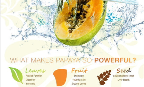 papaya leaf extract herbal goodness